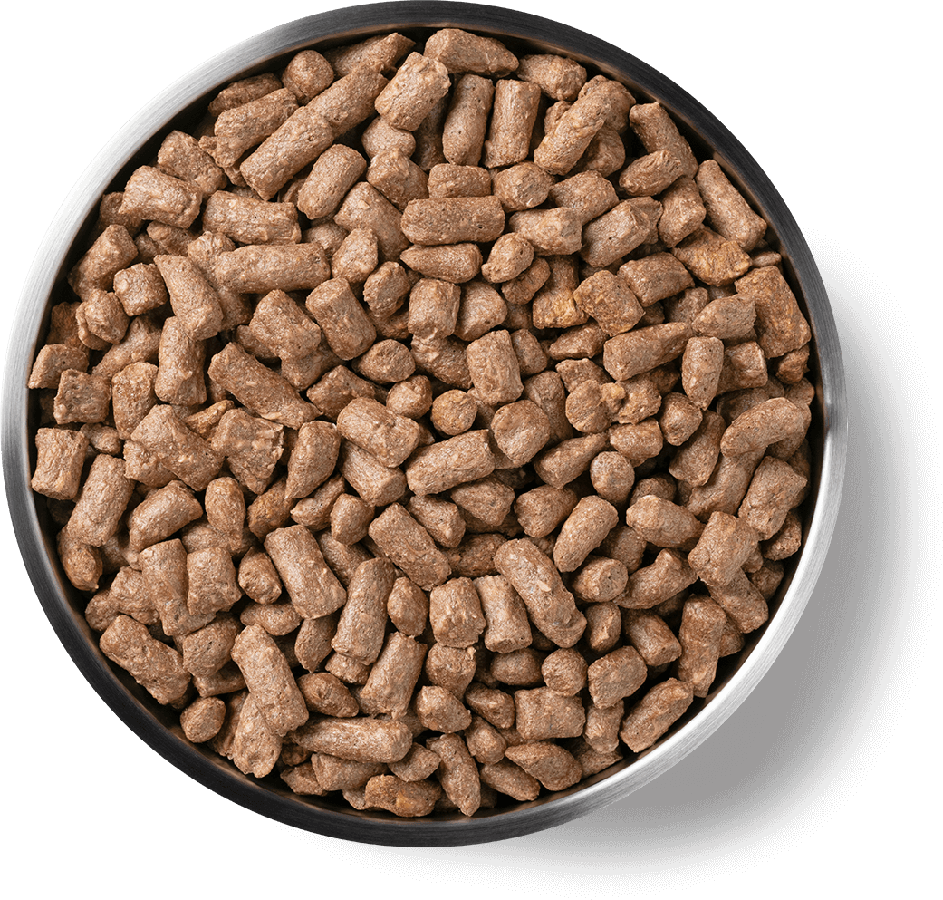 9002, 9003 Product Detail Page_Cat_Freeze Dried Entree_Mini Nibs_Chicken_Benefits of Freeze Dried.png