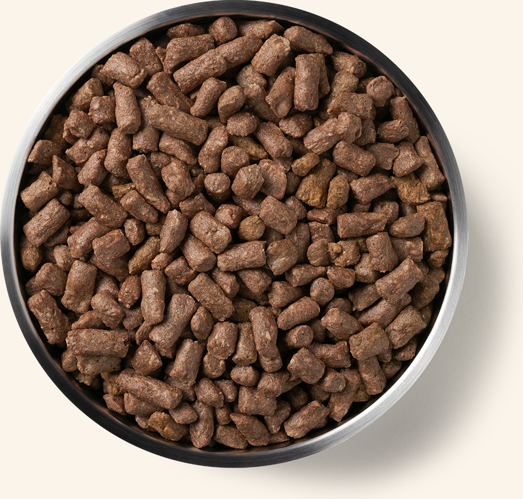 Product Detail Page_Dog_Freeze Dried Entree_Mini Nibs_Beef_5.5 oz_Benefits of Freeze Dried.jpg