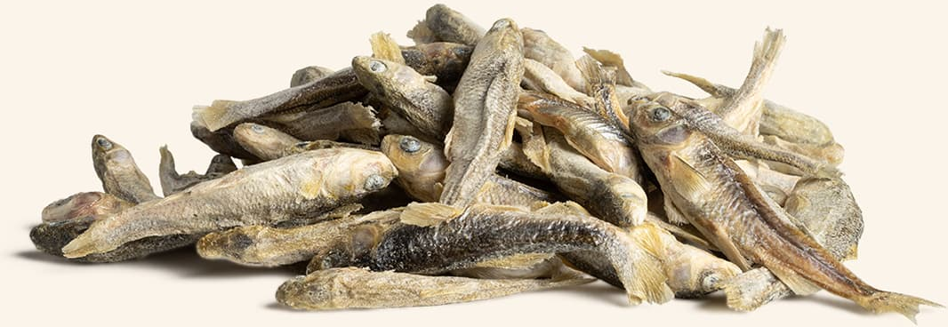 8411, 8412 Product Detail Page_Dog_Treats and Supplements_Treats_Minnows_Benefits of Freeze Dried.jpg