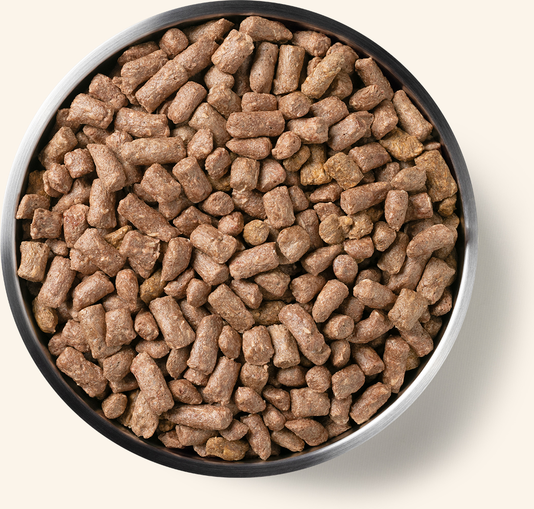Product Detail Page_Dog_Freeze Dried Entree_Mini Nibs_Chicken_5.5 oz_Benefits of Freeze Dried.jpg