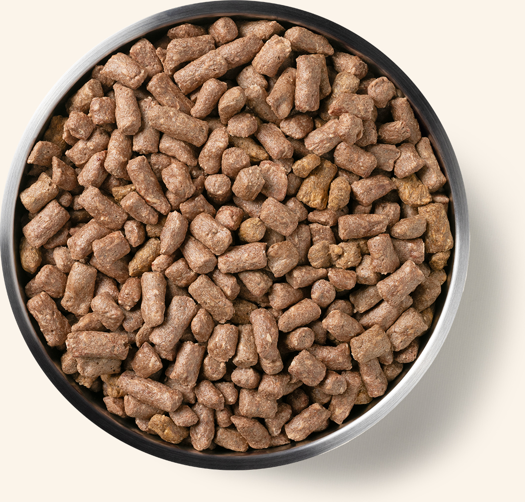 Product Detail Page_Dog_Freeze Dried Entree_Mini Nibs_Duck_5.5 oz_Benefits of Freeze Dried.jpg