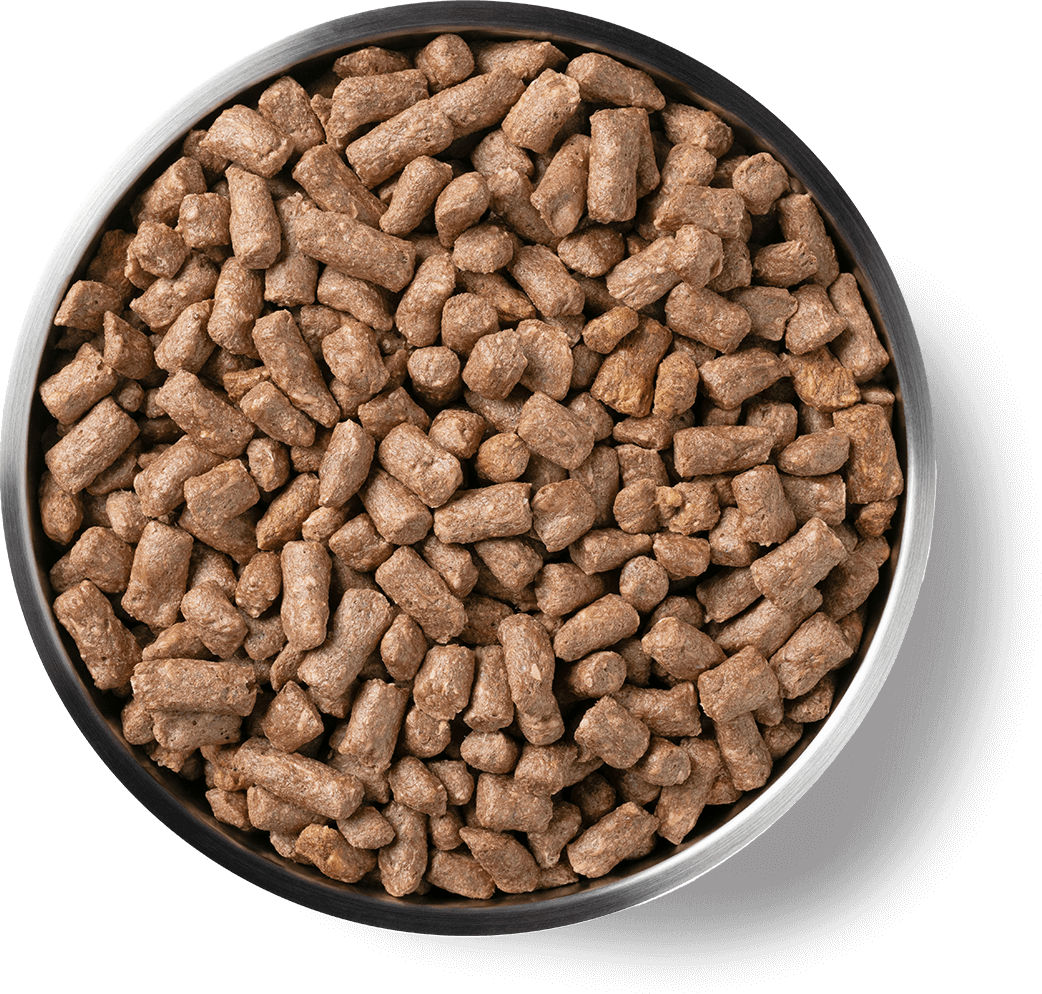 9004, 9005 Product Detail Page_Cat_Freeze Dried Entree_Mini Nibs_Duck_Benefits of Freeze Dried.png