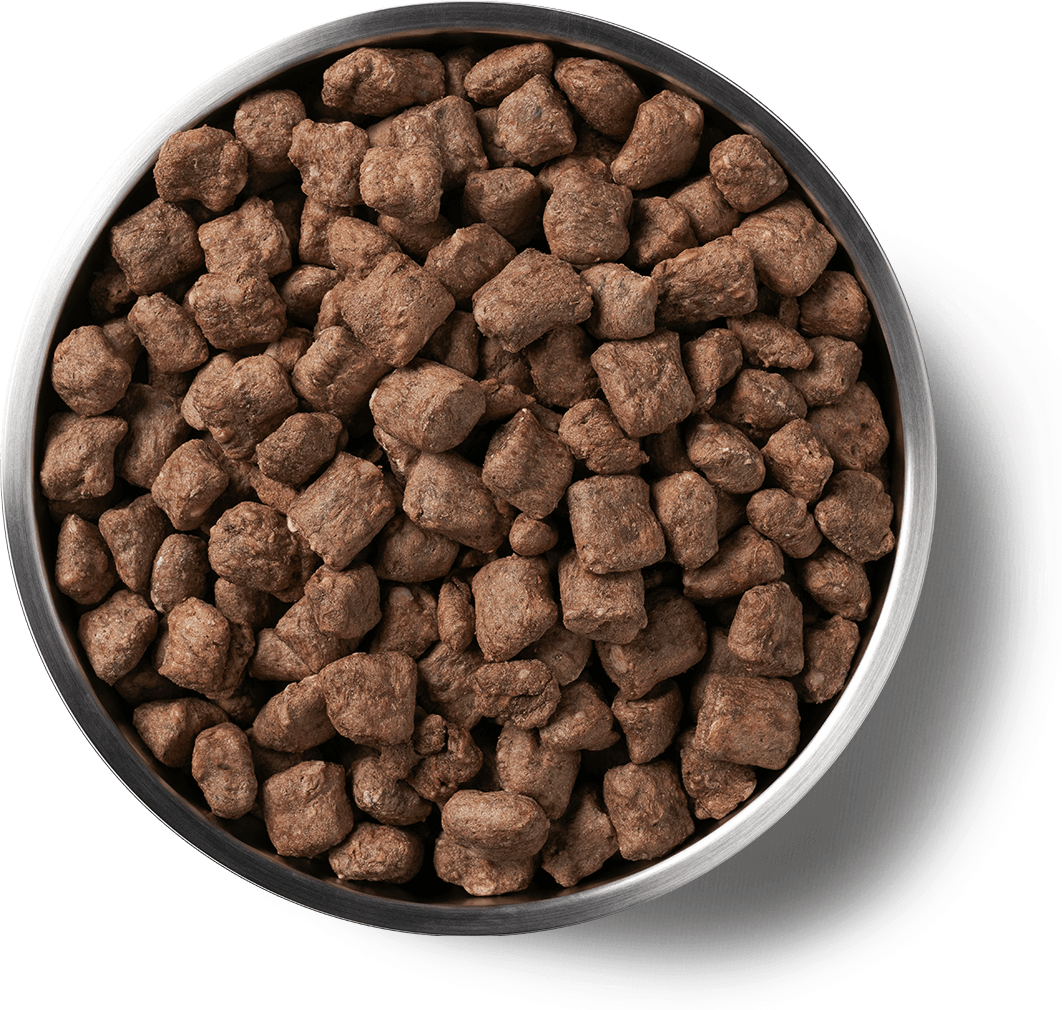 8000 Product Detail Page_Dog_Freeze Dried Entree_Nibs_Beef_14 oz_Benefits of Freeze Dried.png
