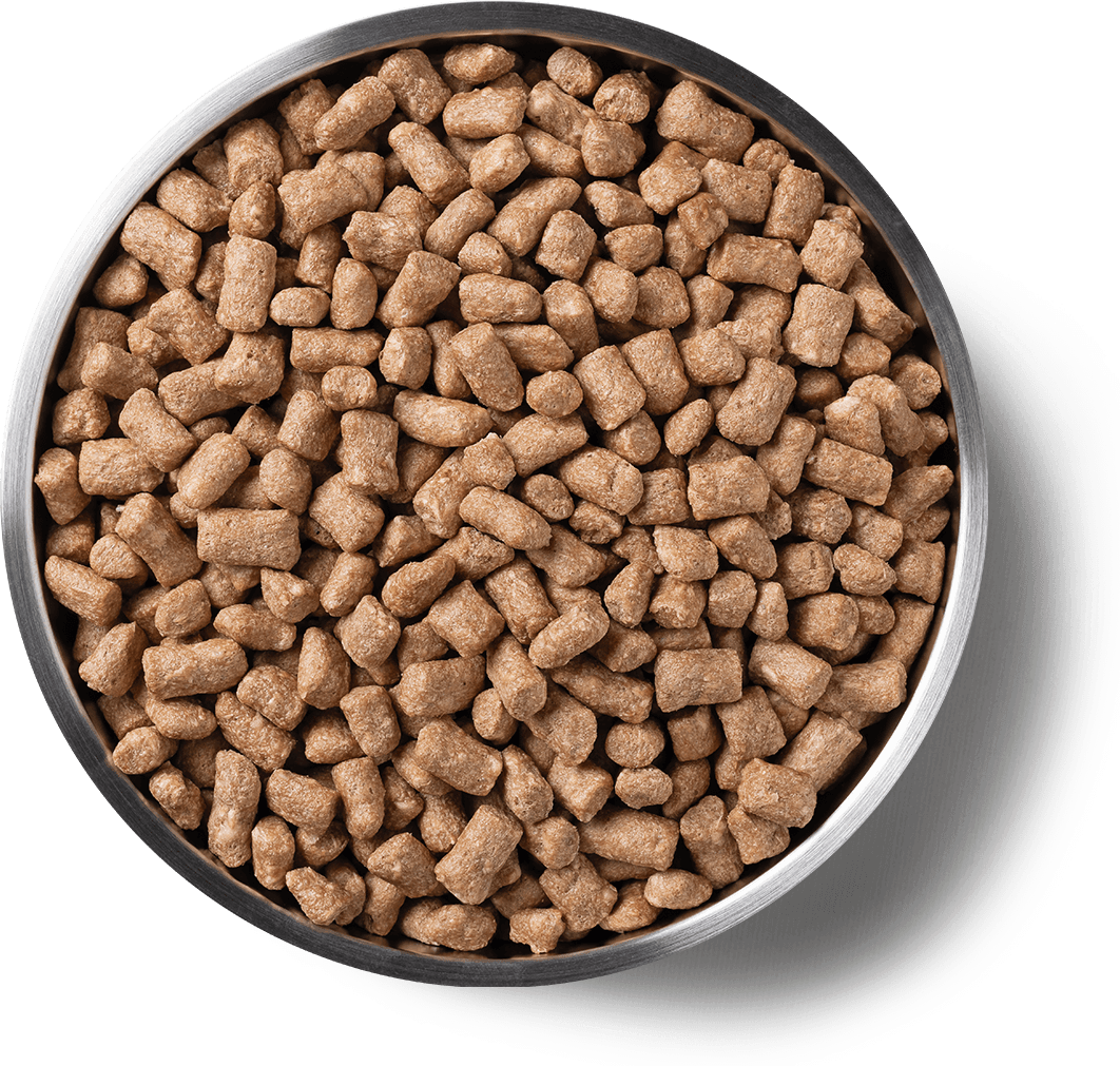 9008,9009 Product Detail Page_Cat_Freeze Dried Entree_Mini Nibs_Rabbit_Benefits of Freeze Dried.png