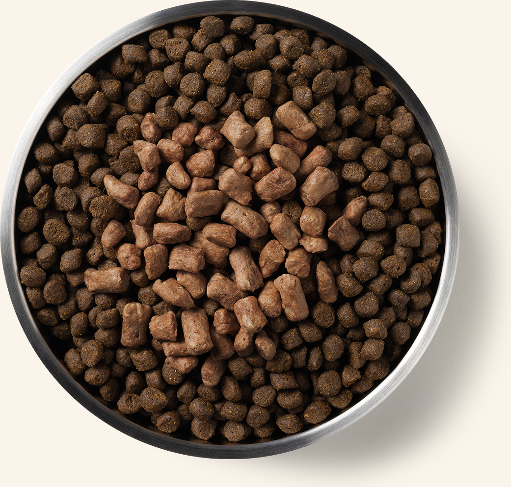 Product Detail Page_Dog_Treats and Supplements_Toppers_Beef_Mix-In_6 oz_Benefits of Freeze Dried.jpg